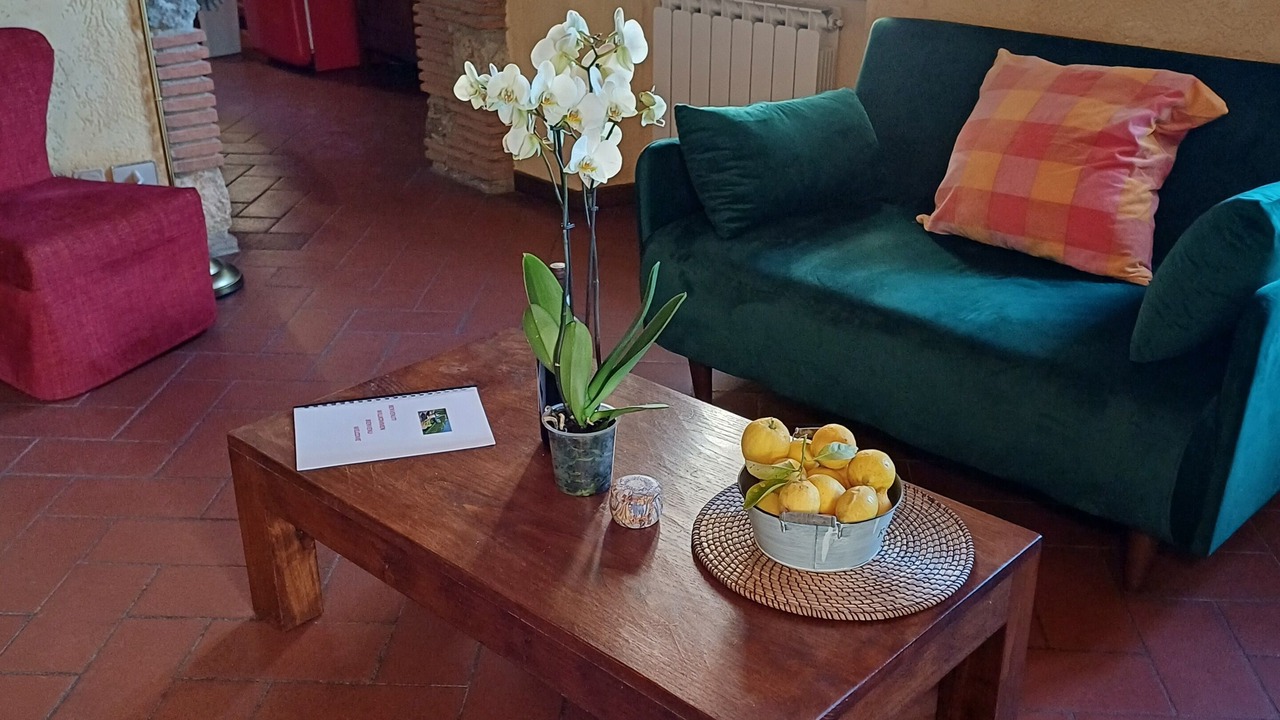Photo of Livingroom in Camaiore