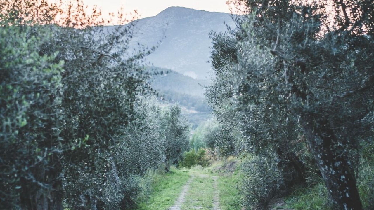 Photo of Outdoor in Vorno