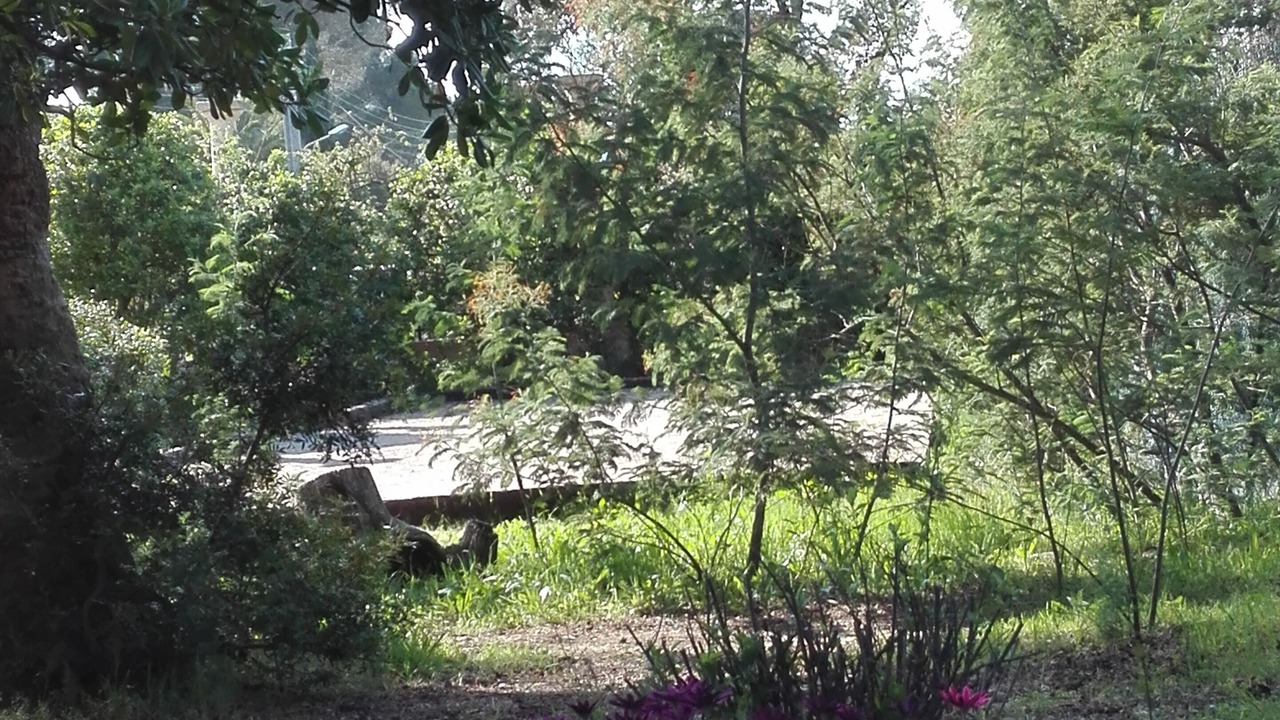 Photo of Outdoor in Saint-Aygulf