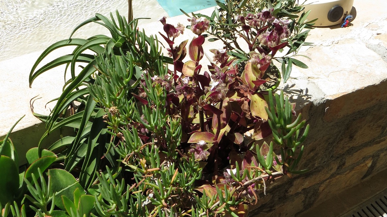 Photo of Outdoor in Cagnes-sur-Mer