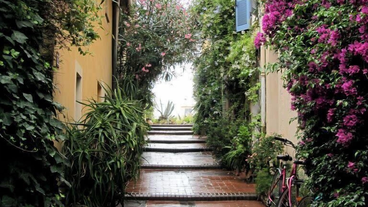 Photo of Outdoor in Antibes Old Town