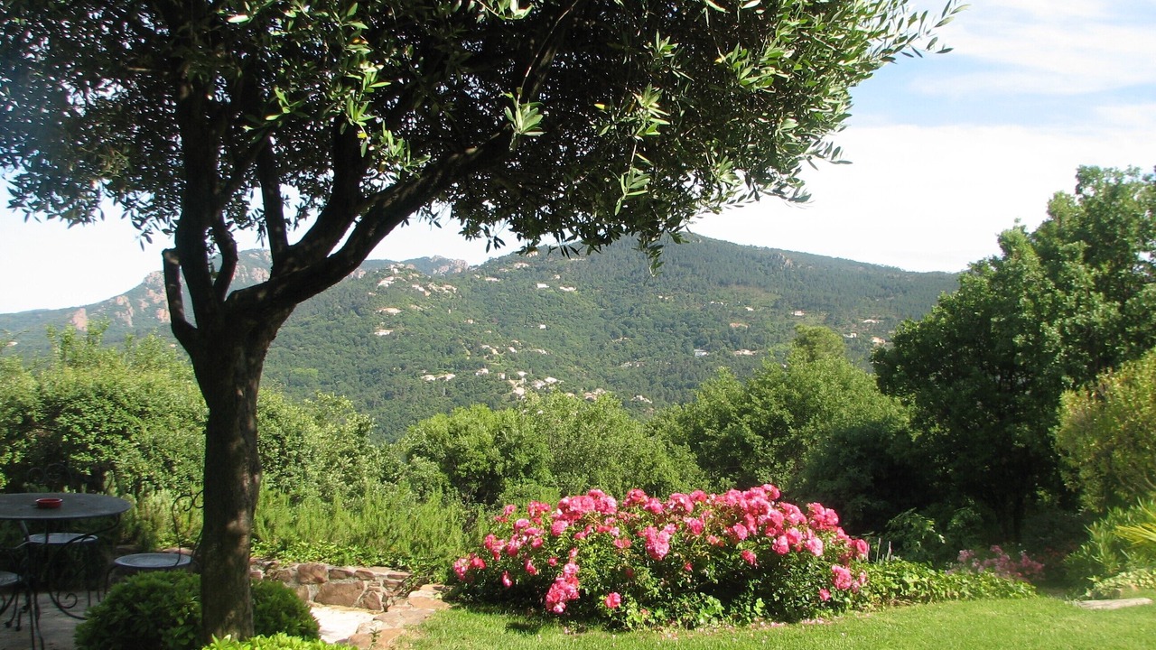 Photo of Outdoor in Les Adrets-de-l'Esterel
