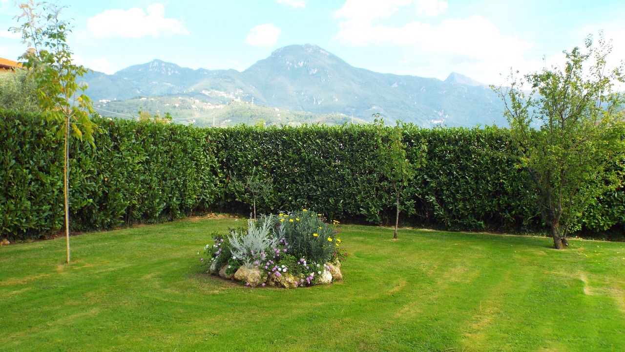 Photo of Outdoor in Camaiore