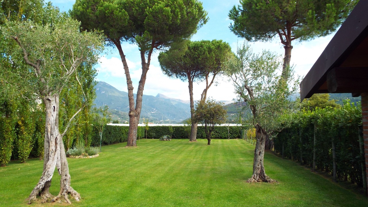 Photo of Outdoor in Camaiore