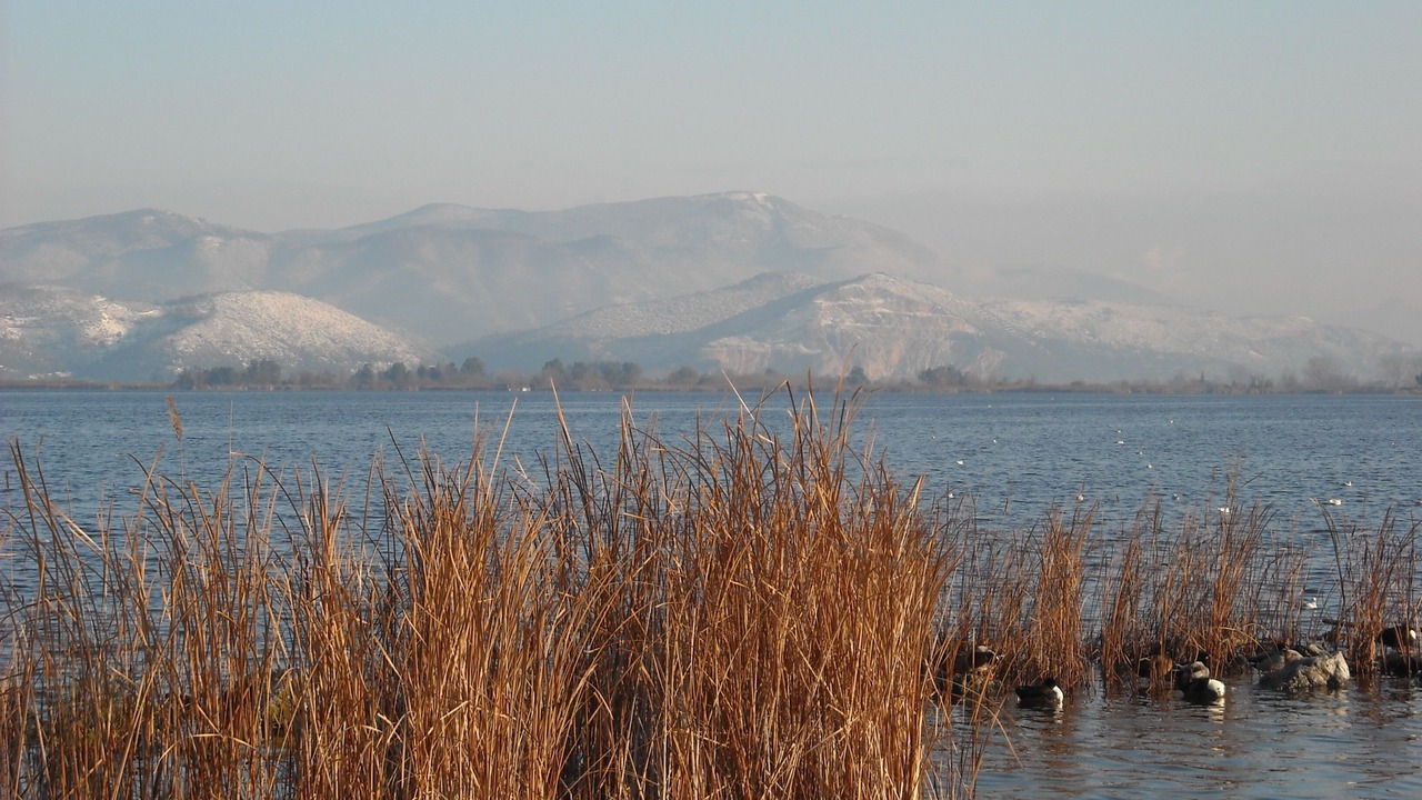 Photo of Others in Torre del Lago Puccini