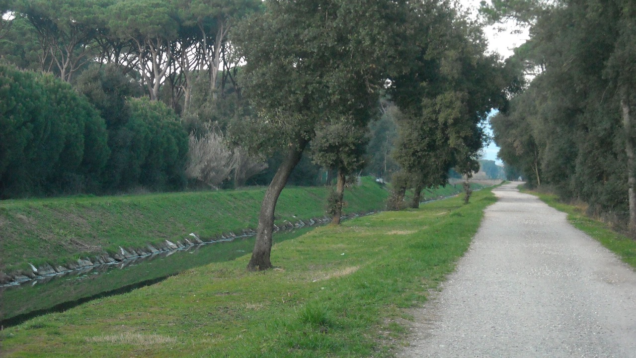Photo of Outdoor in Torre del Lago Puccini
