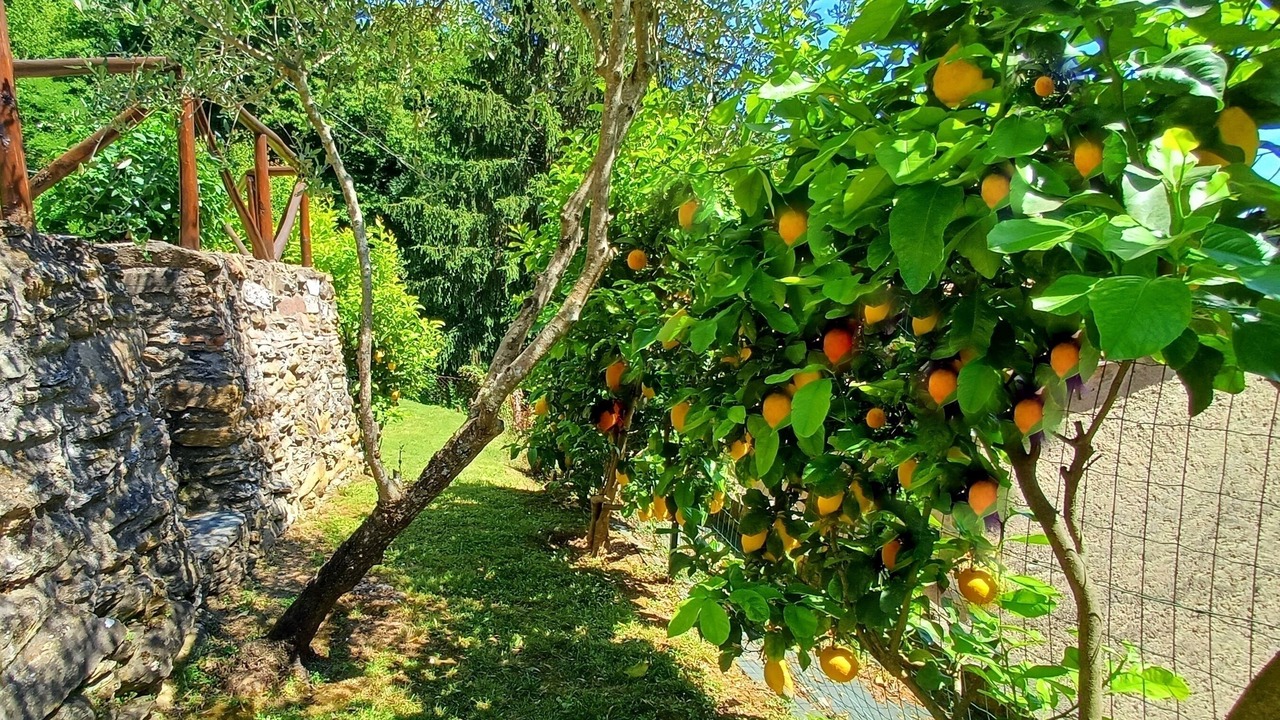 Photo of Outdoor in Strettoia