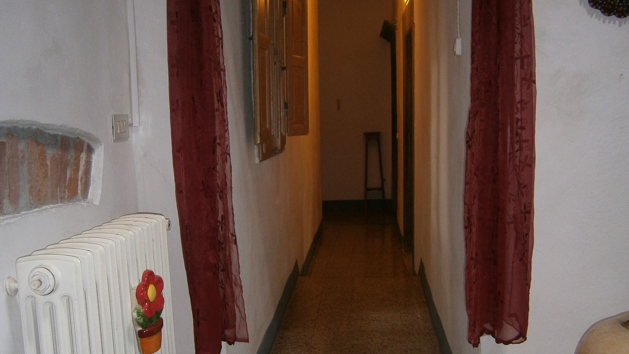 Photo of Others in Pisa City Centre