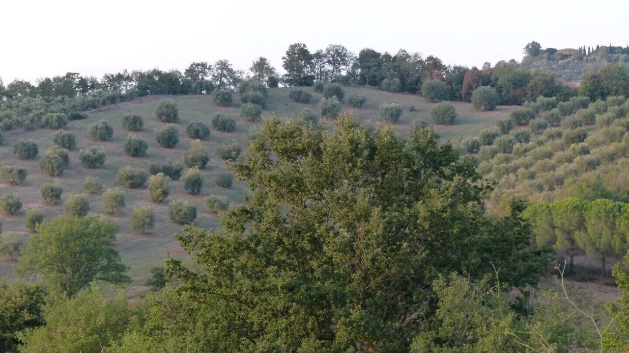 Photo of Outdoor in Gavorrano