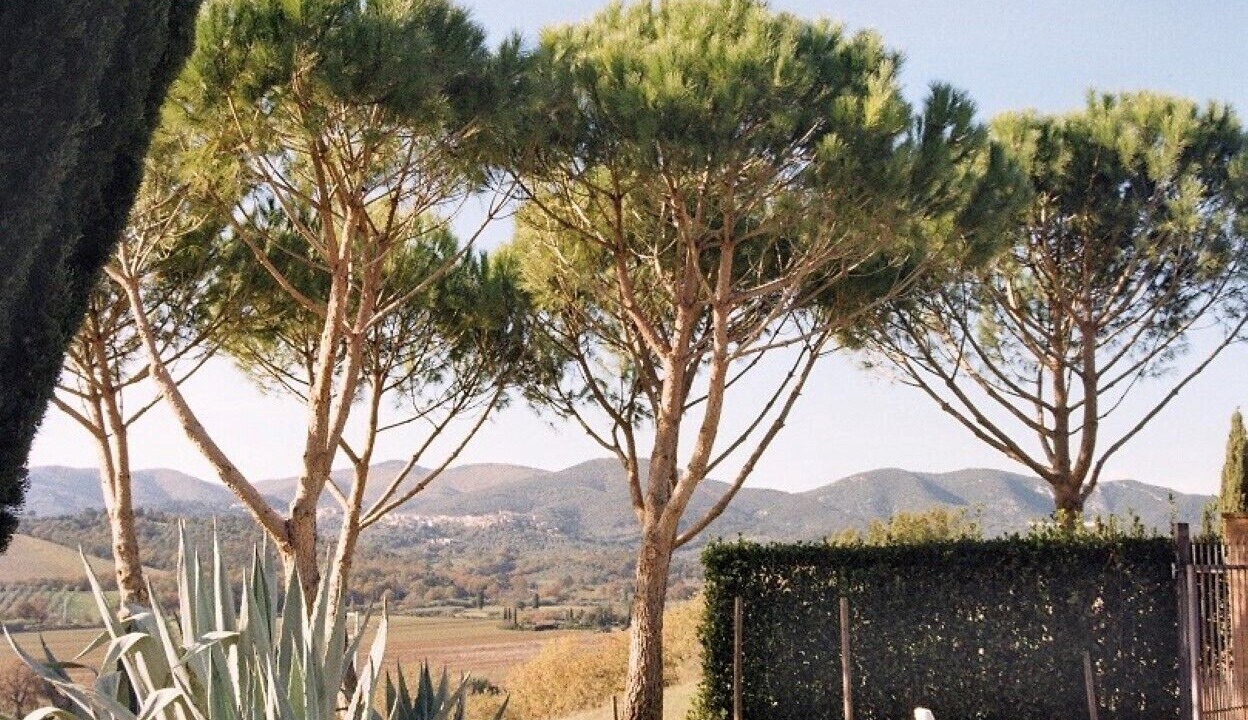 Photo of Outdoor in Gavorrano