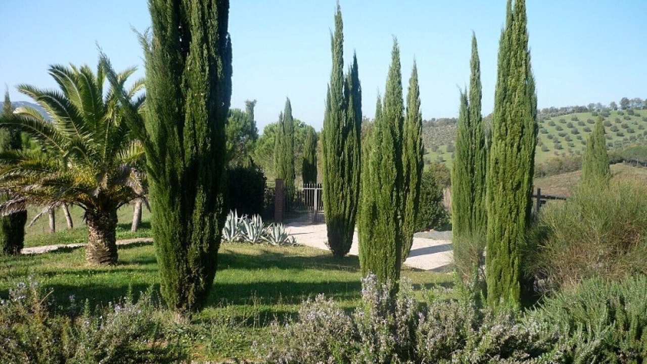 Photo of Outdoor in Gavorrano