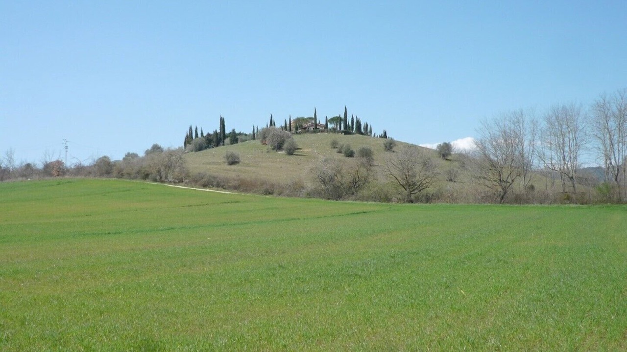 Photo of Others in Gavorrano
