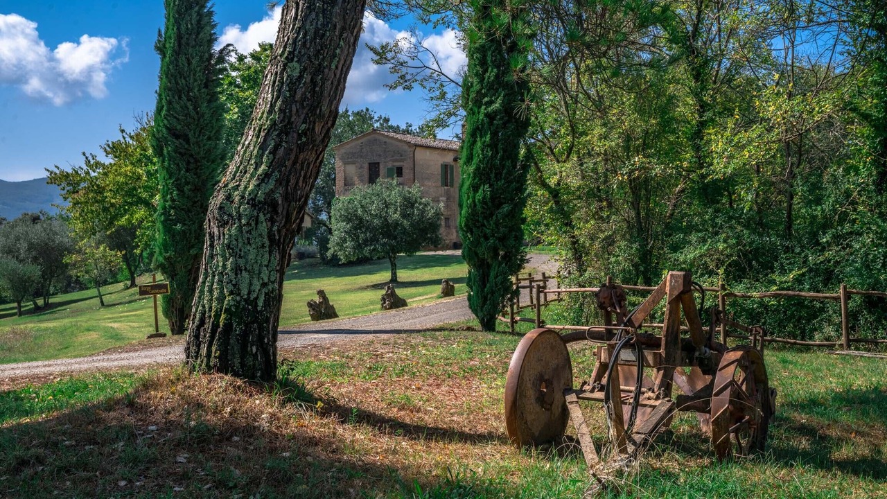 Photo of Outdoor in Buonconvento