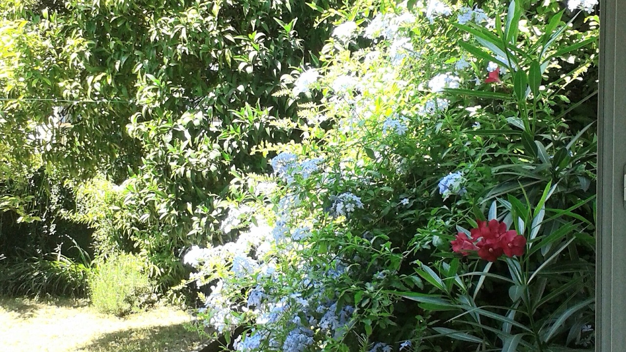Photo of Outdoor in Cros-de-Cagnes