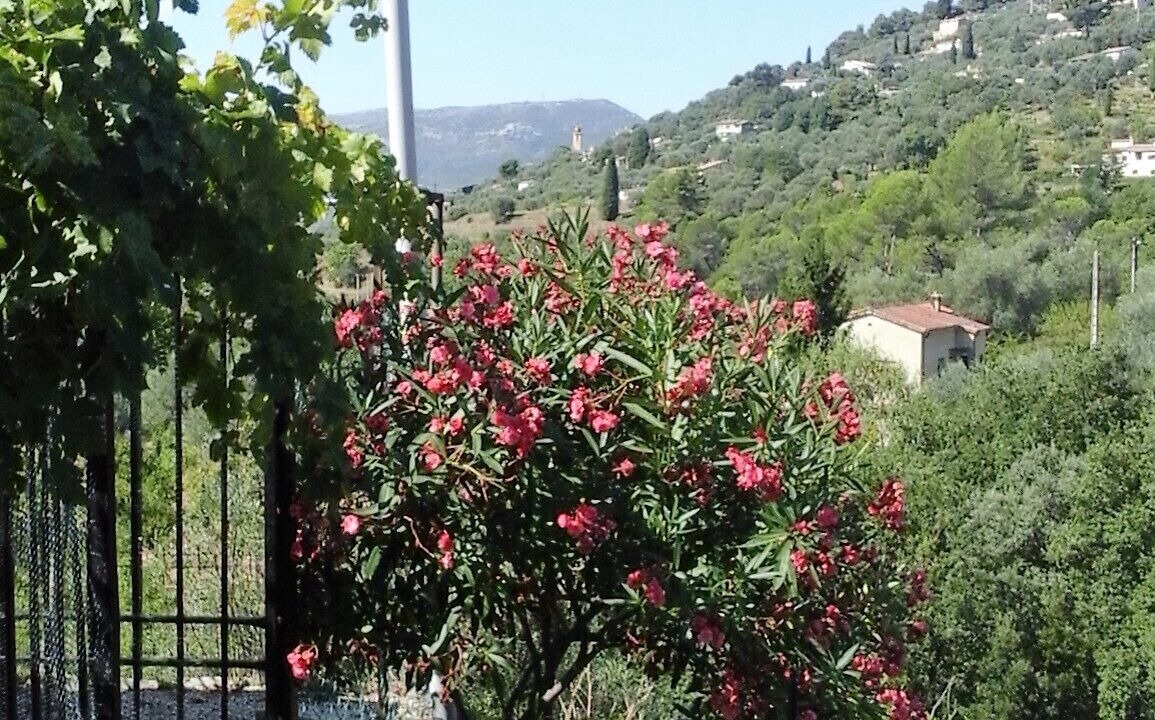Photo of Outdoor in Saint-Blaise