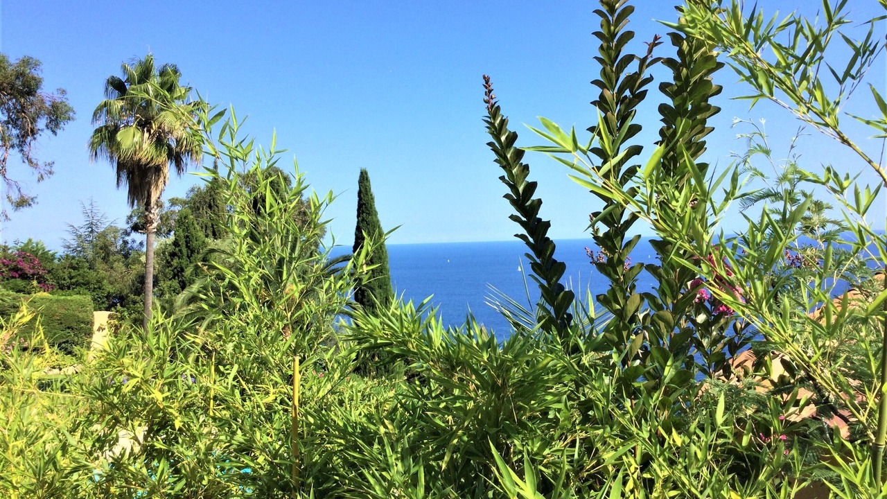 Photo of Outdoor in Theoule-Superieur
