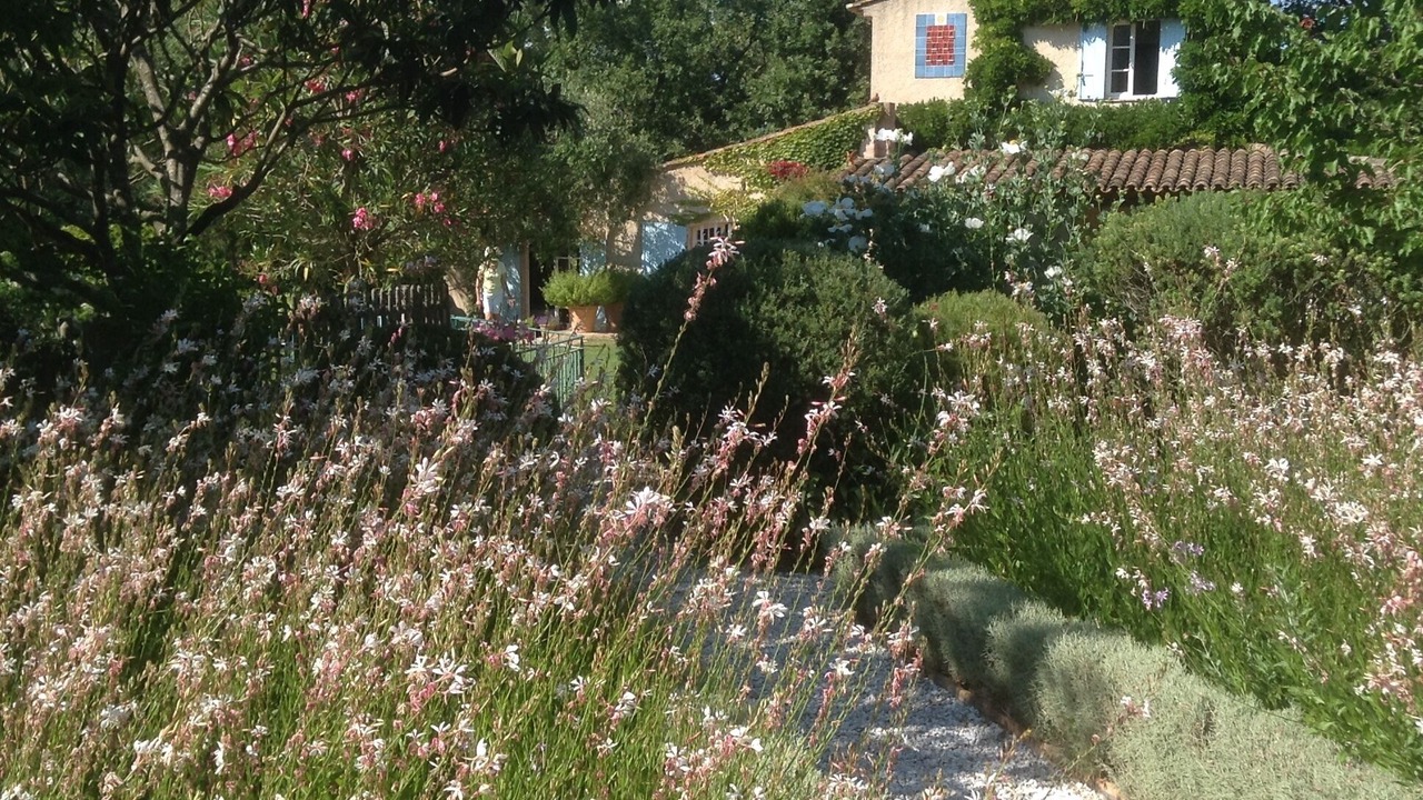 Photo of Outdoor in Ramatuelle
