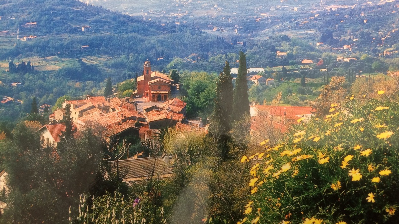 Photo of Outdoor in Magagnosc