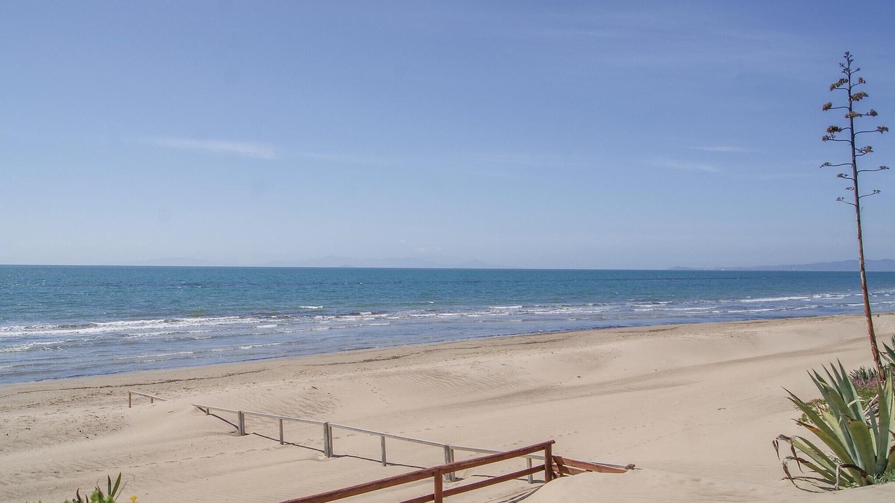 Photo of Others in Cecina