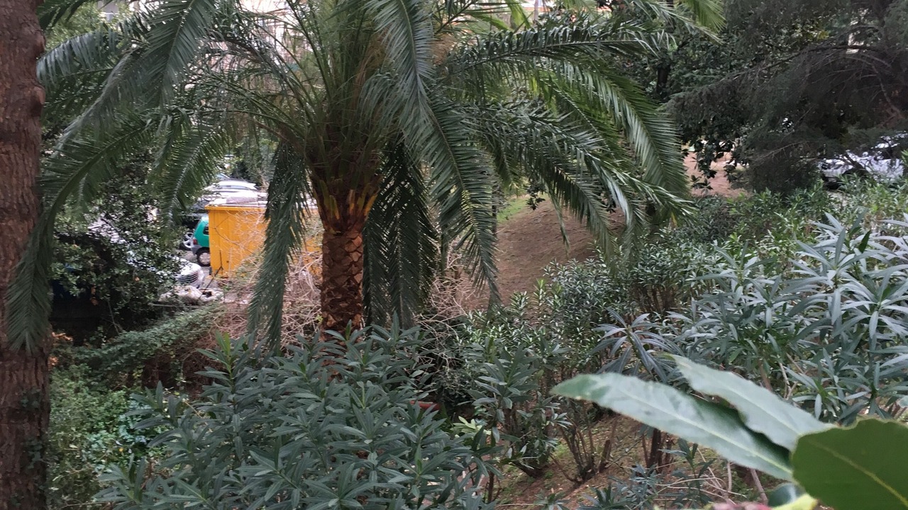 Photo of Outdoor in Cannes