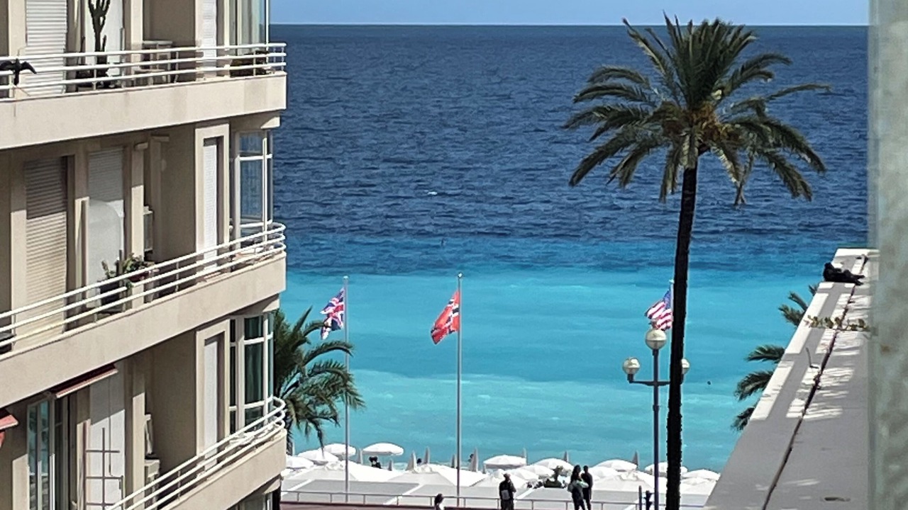 Photo of Others in Nice City Centre