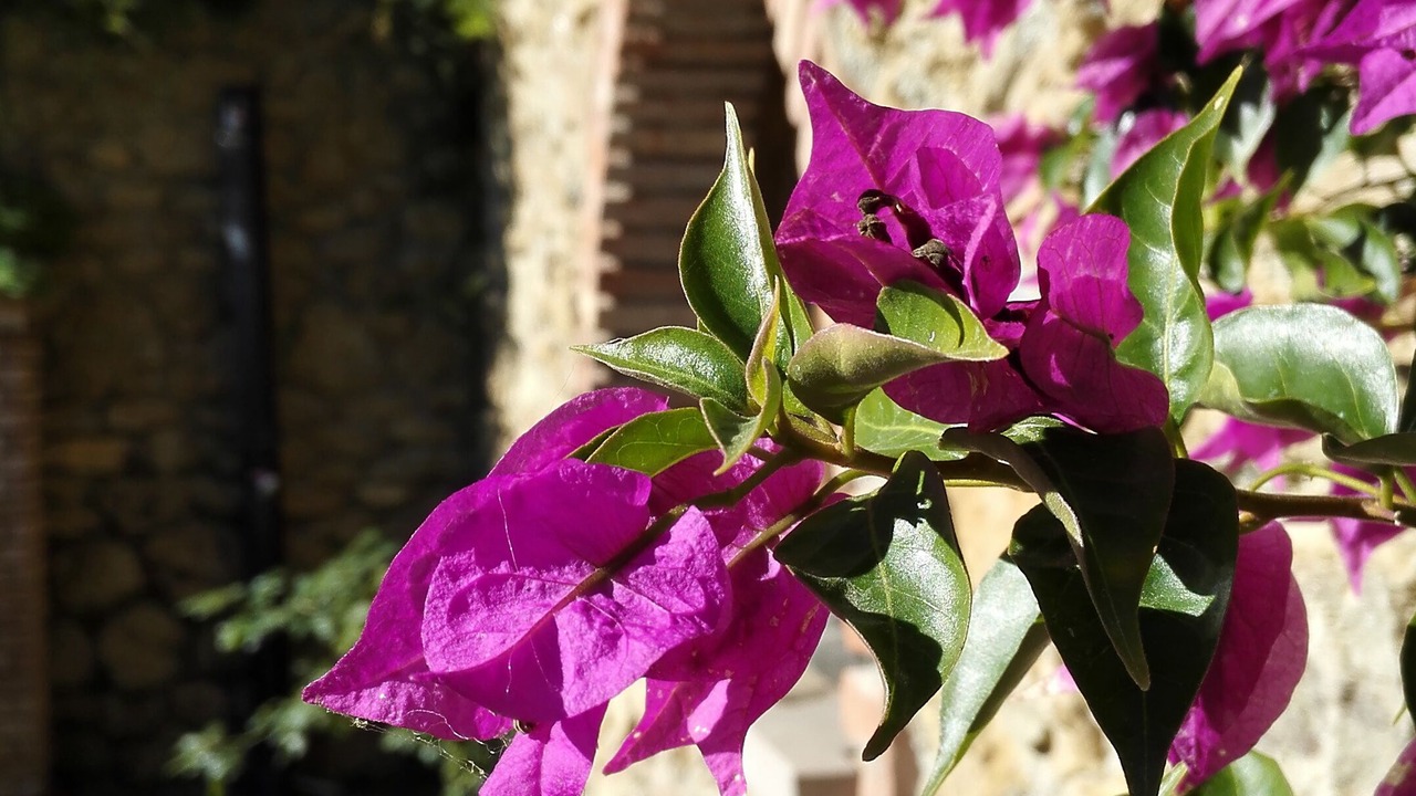 Photo of Outdoor in Volterra