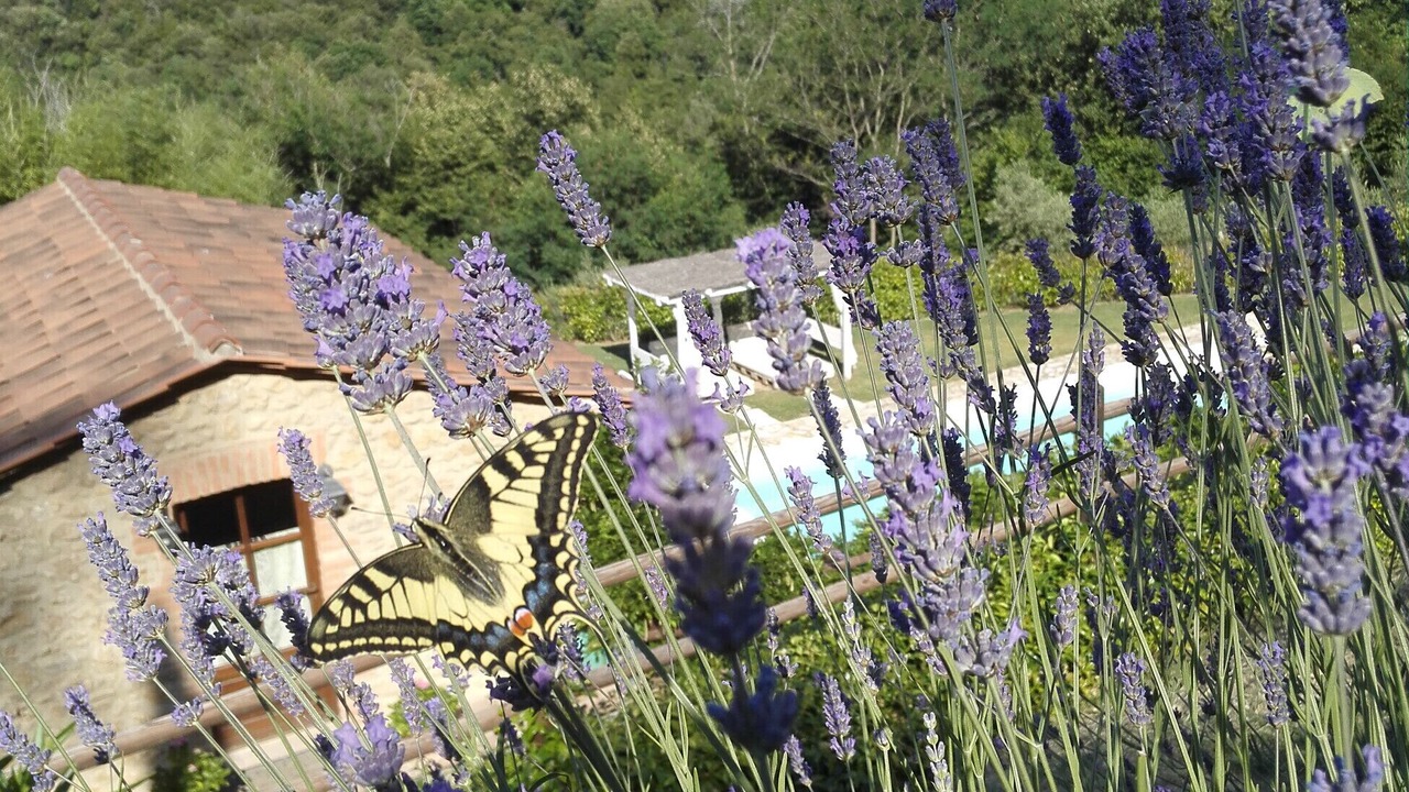 Photo of Outdoor in Volterra