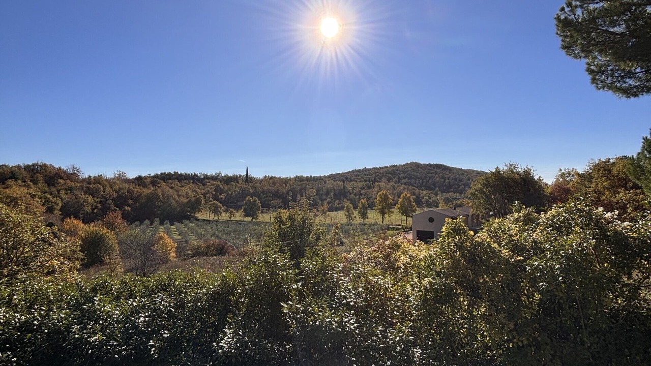 Photo of Others in Albisano