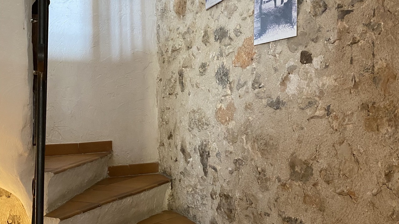 Photo of Others in Vence