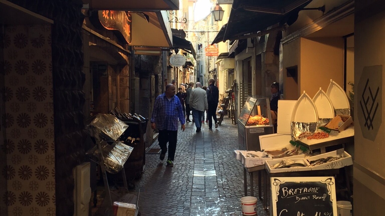 Photo of Others in Vence