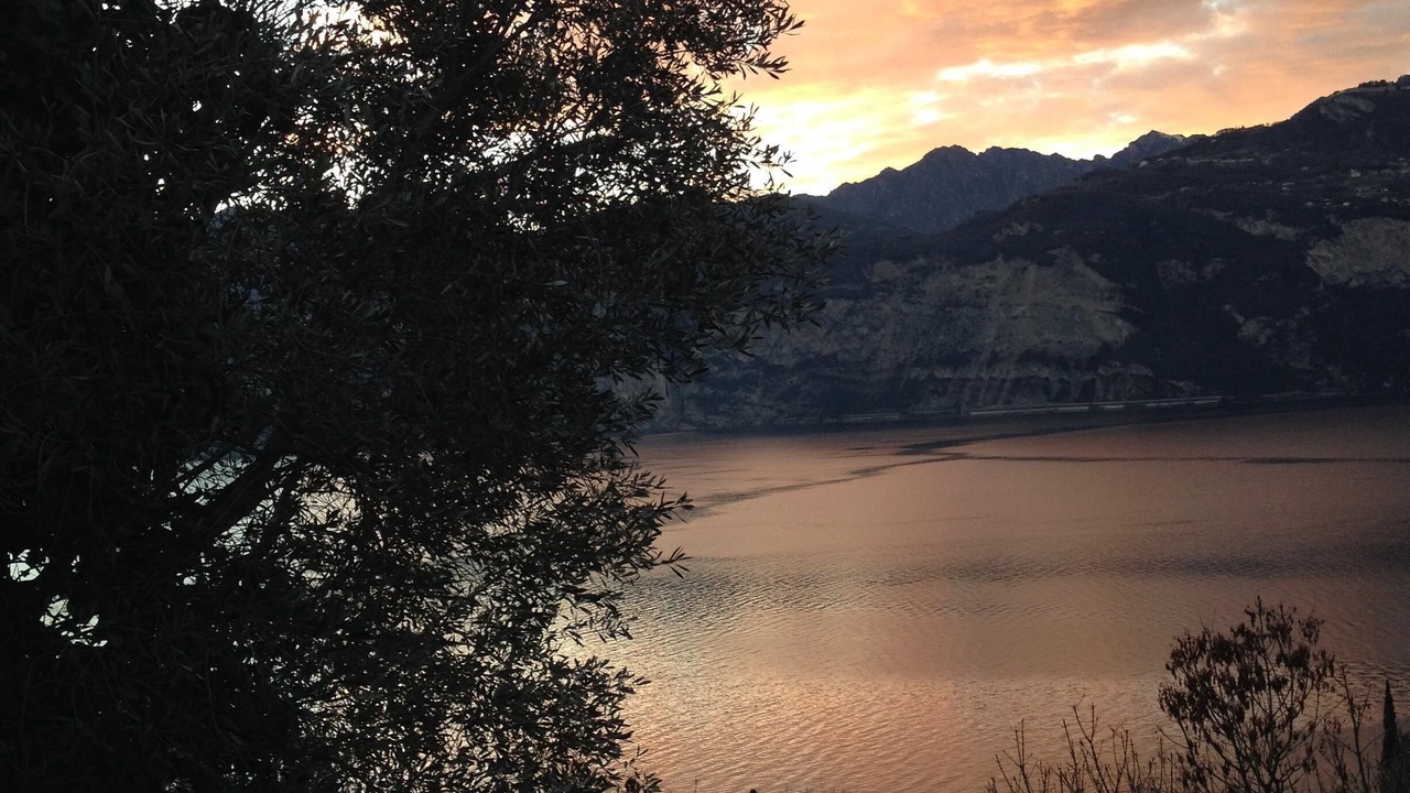 Photo of Others in Malcesine