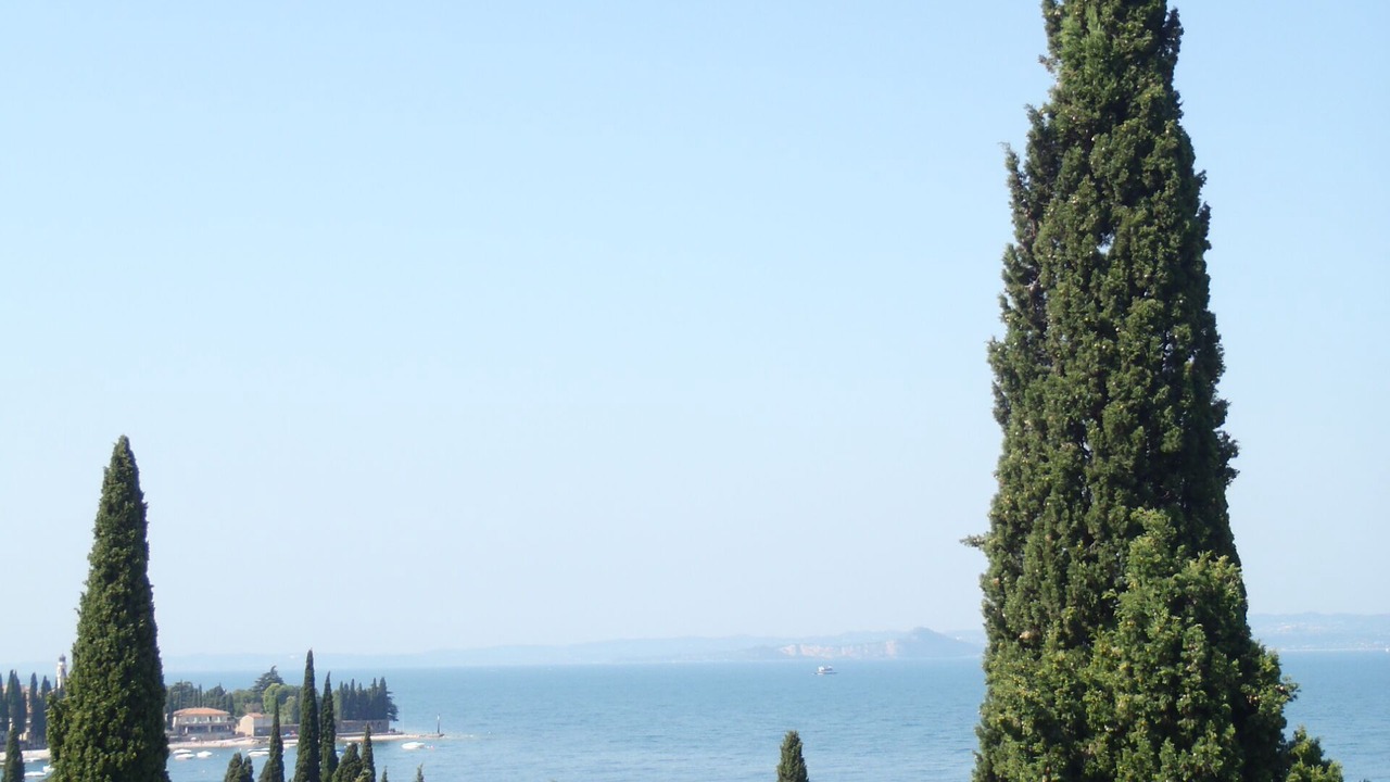 Photo of Others in Torri del Benaco