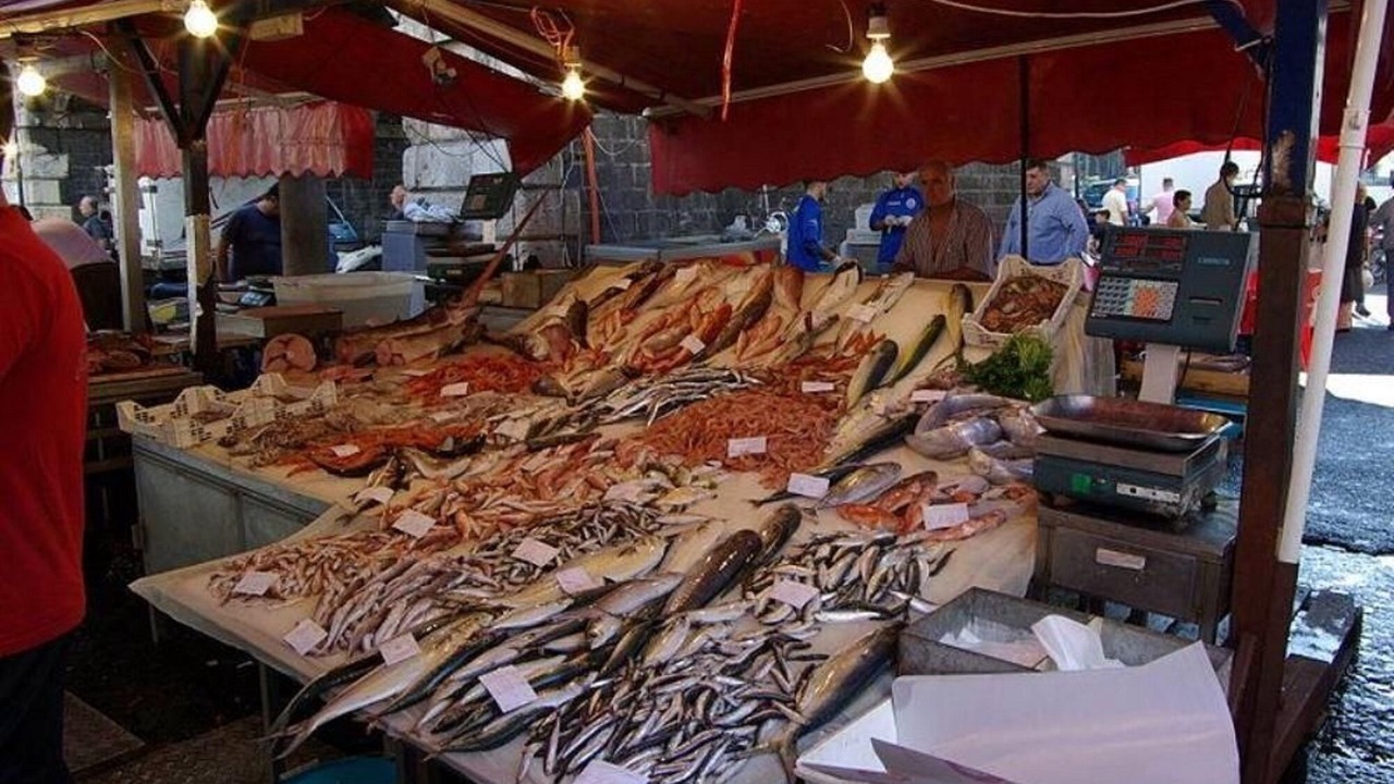 Photo of Others in Noto Marina