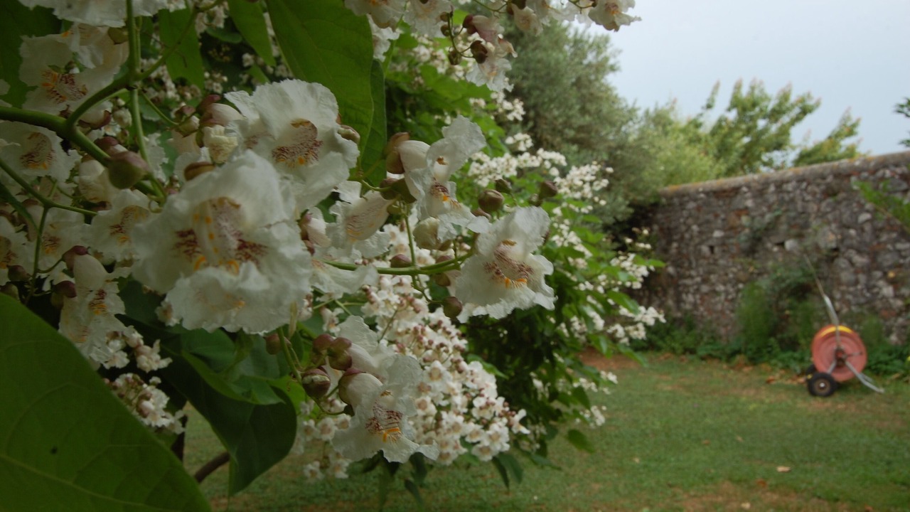Photo of Outdoor in Avane