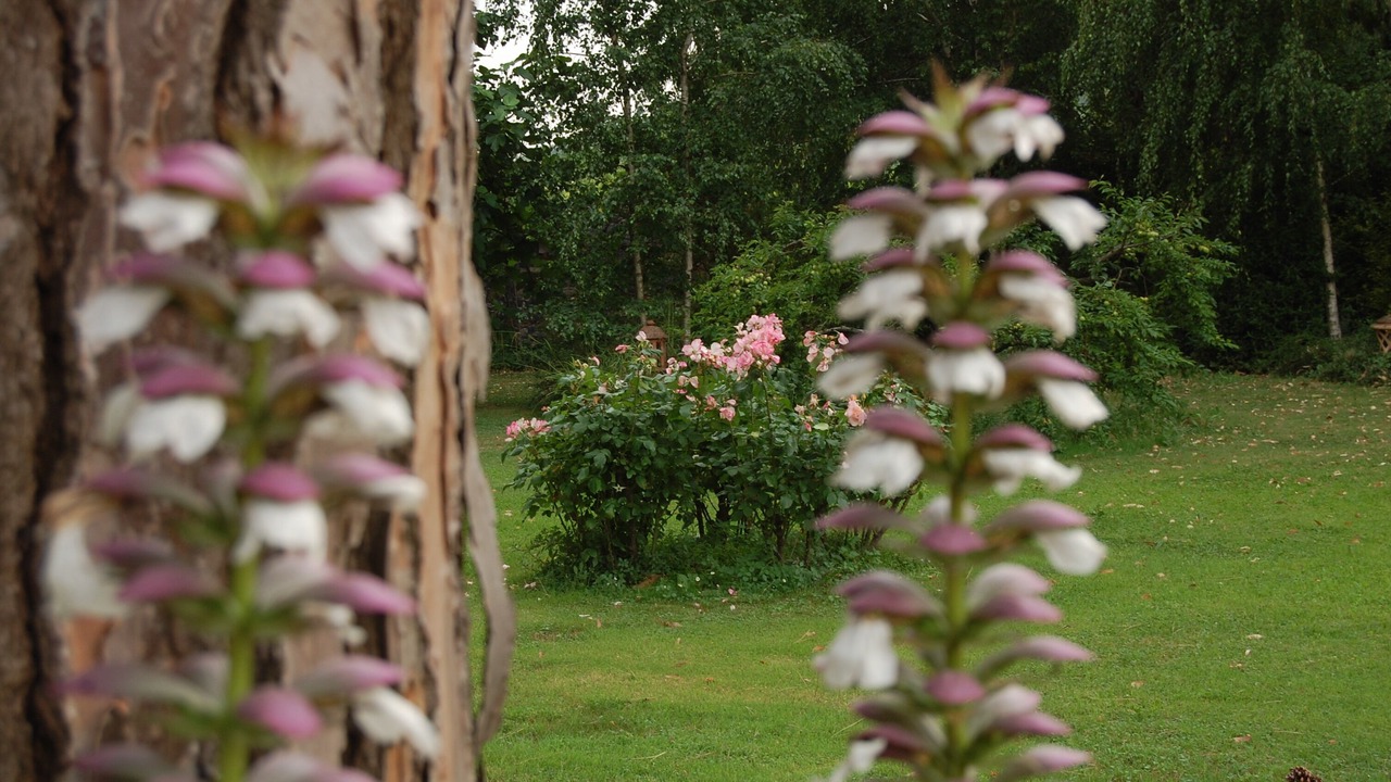 Photo of Outdoor in Avane