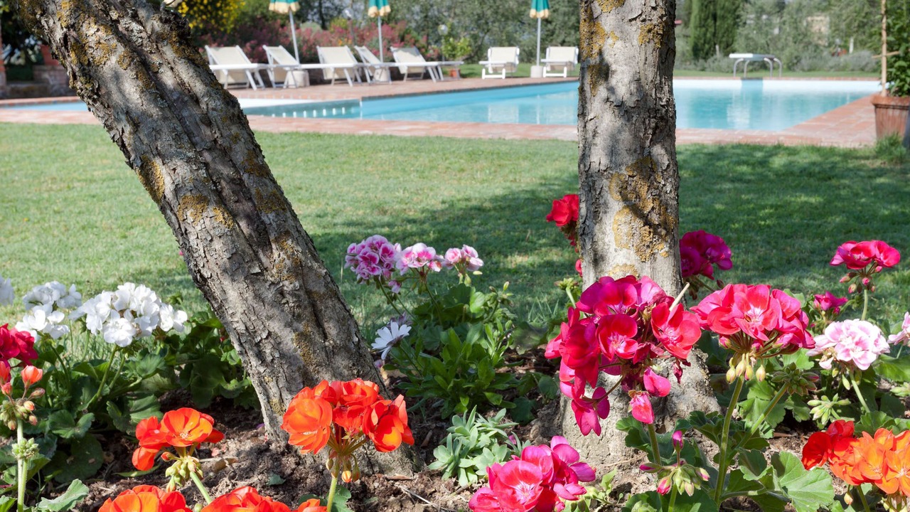 Photo of Outdoor in Foiano della Chiana