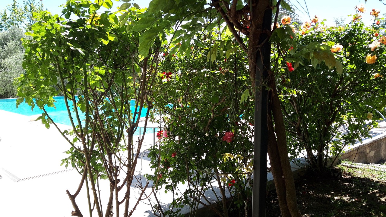 Photo of Outdoor in Tanneron