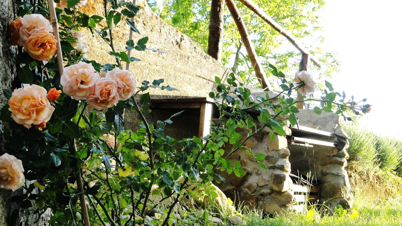 Photo of Outdoor in Turlago