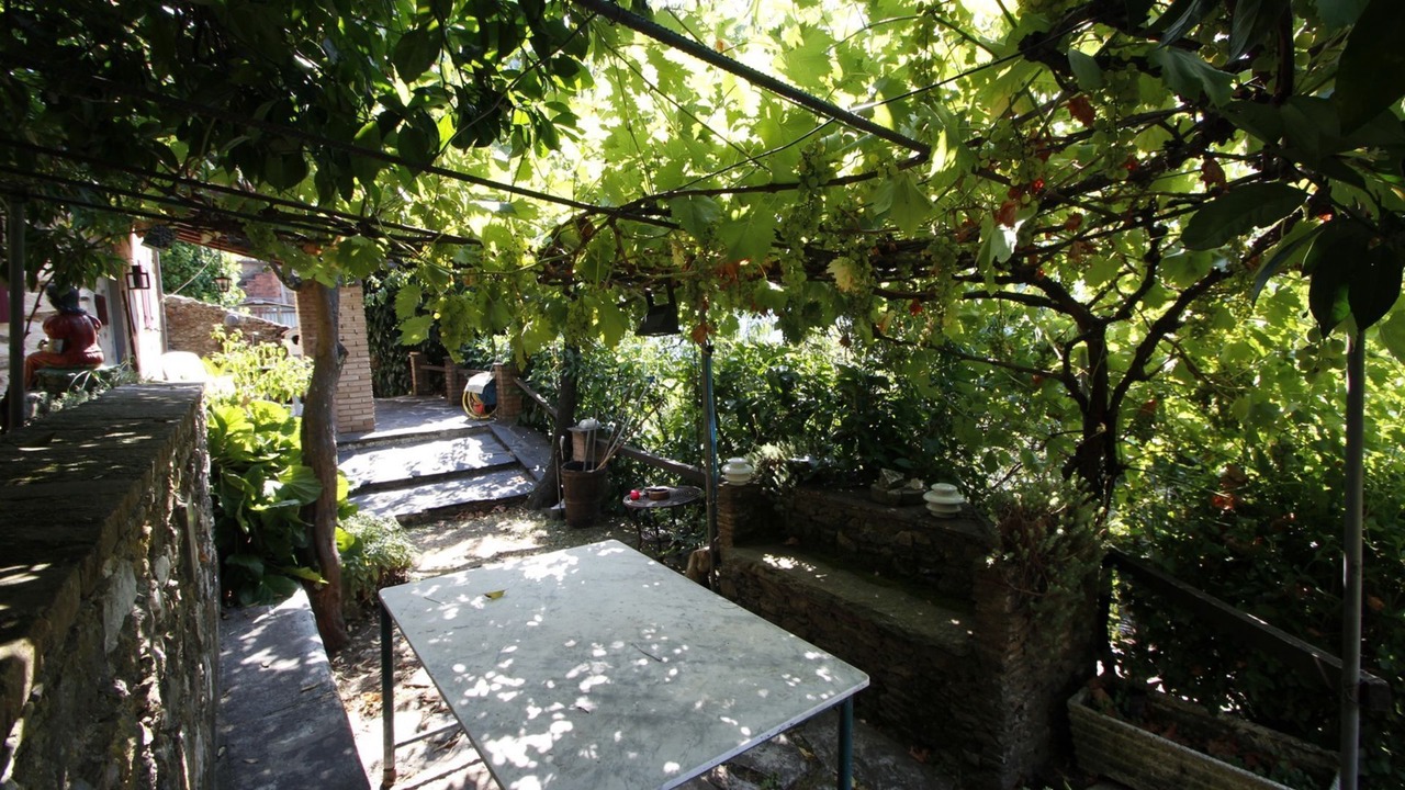 Photo of Outdoor in Stazzema
