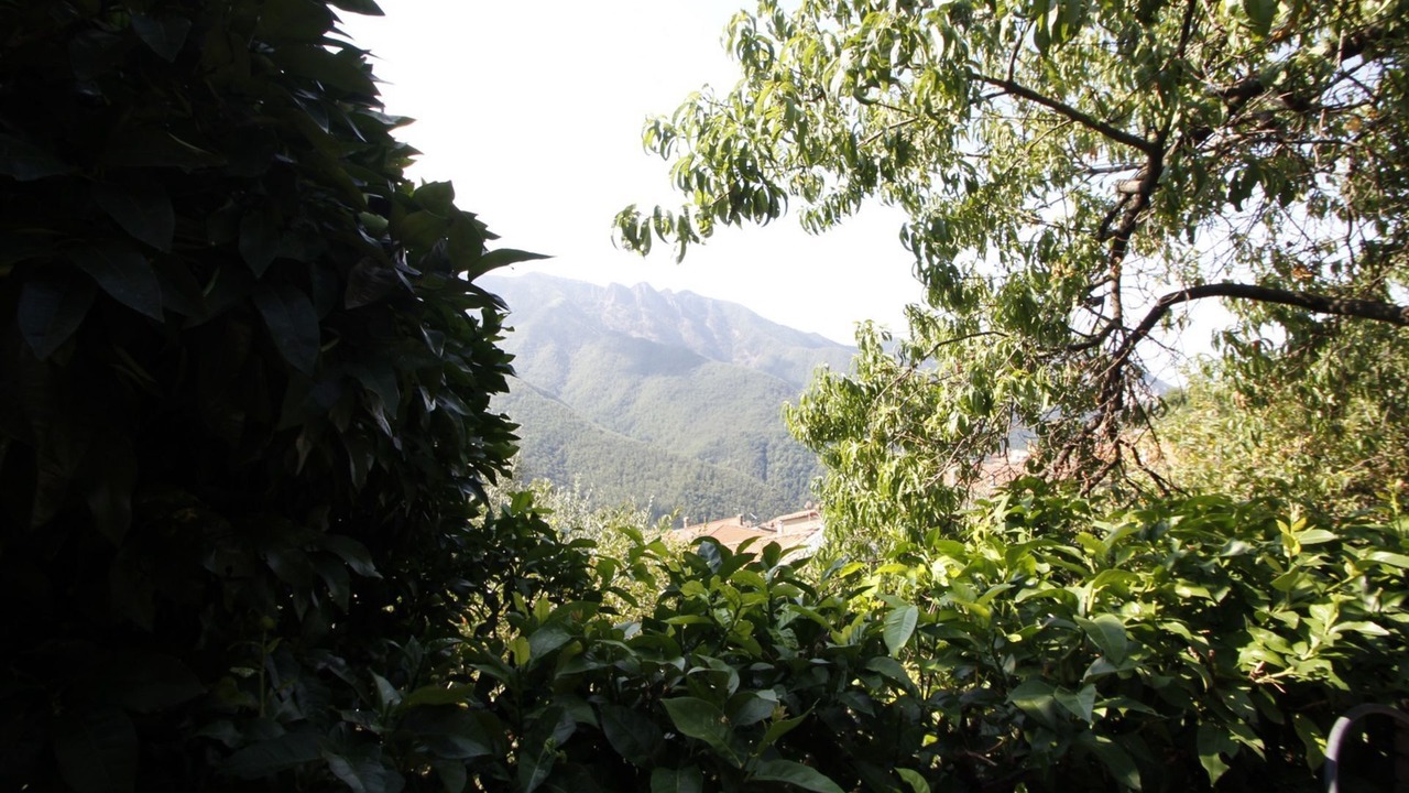 Photo of Outdoor in Stazzema