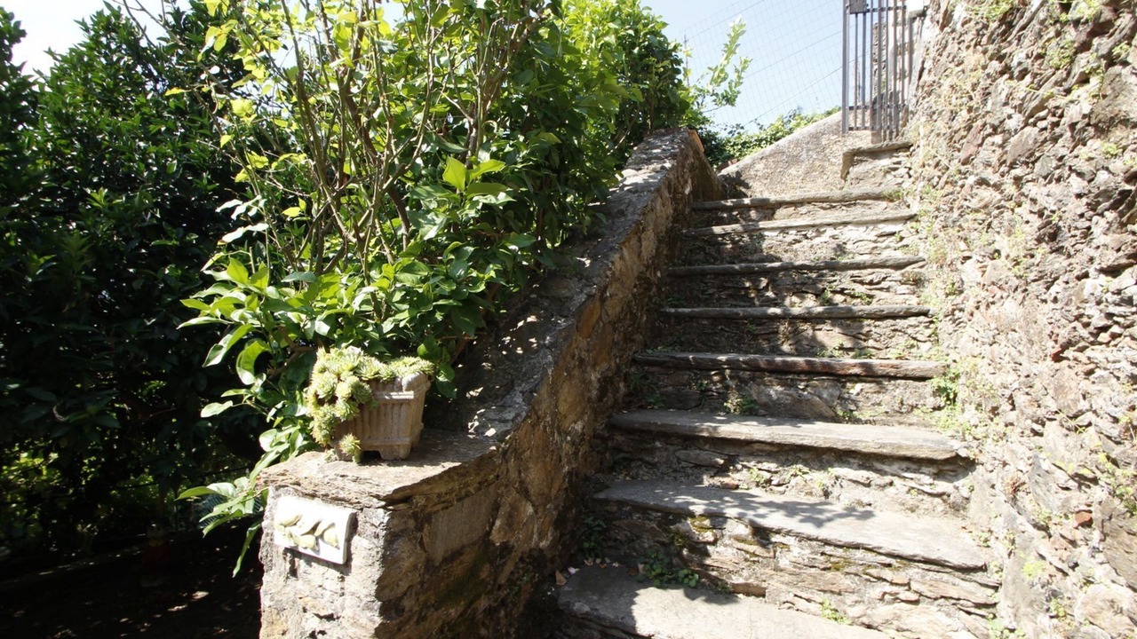 Photo of Outdoor in Stazzema