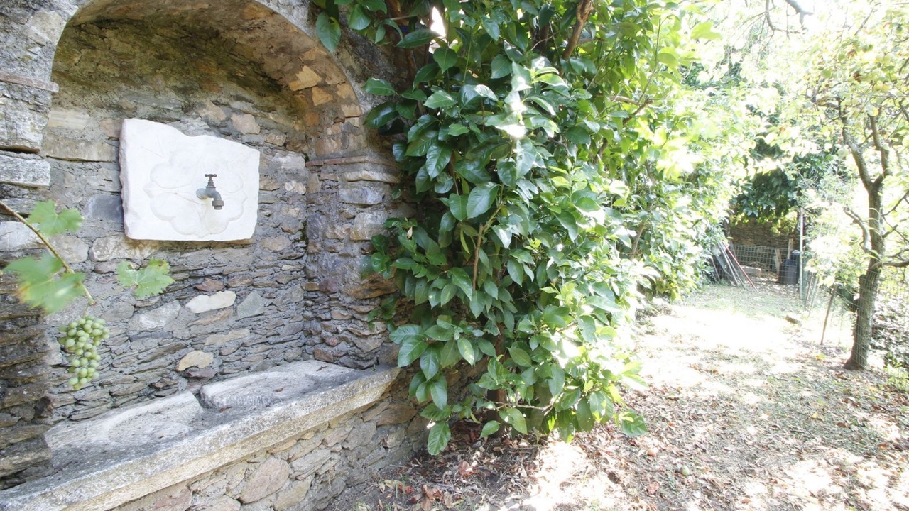 Photo of Outdoor in Stazzema