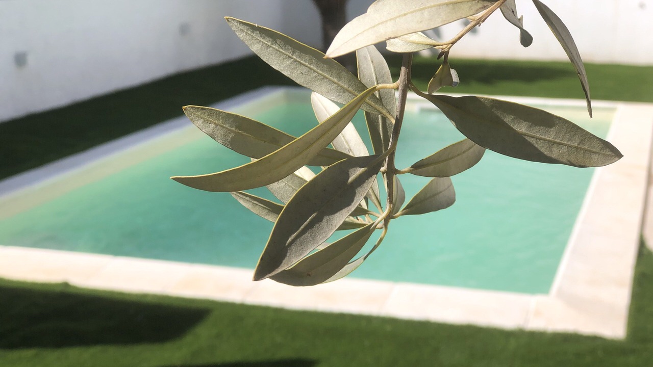 Photo of Outdoor in Noto Marina