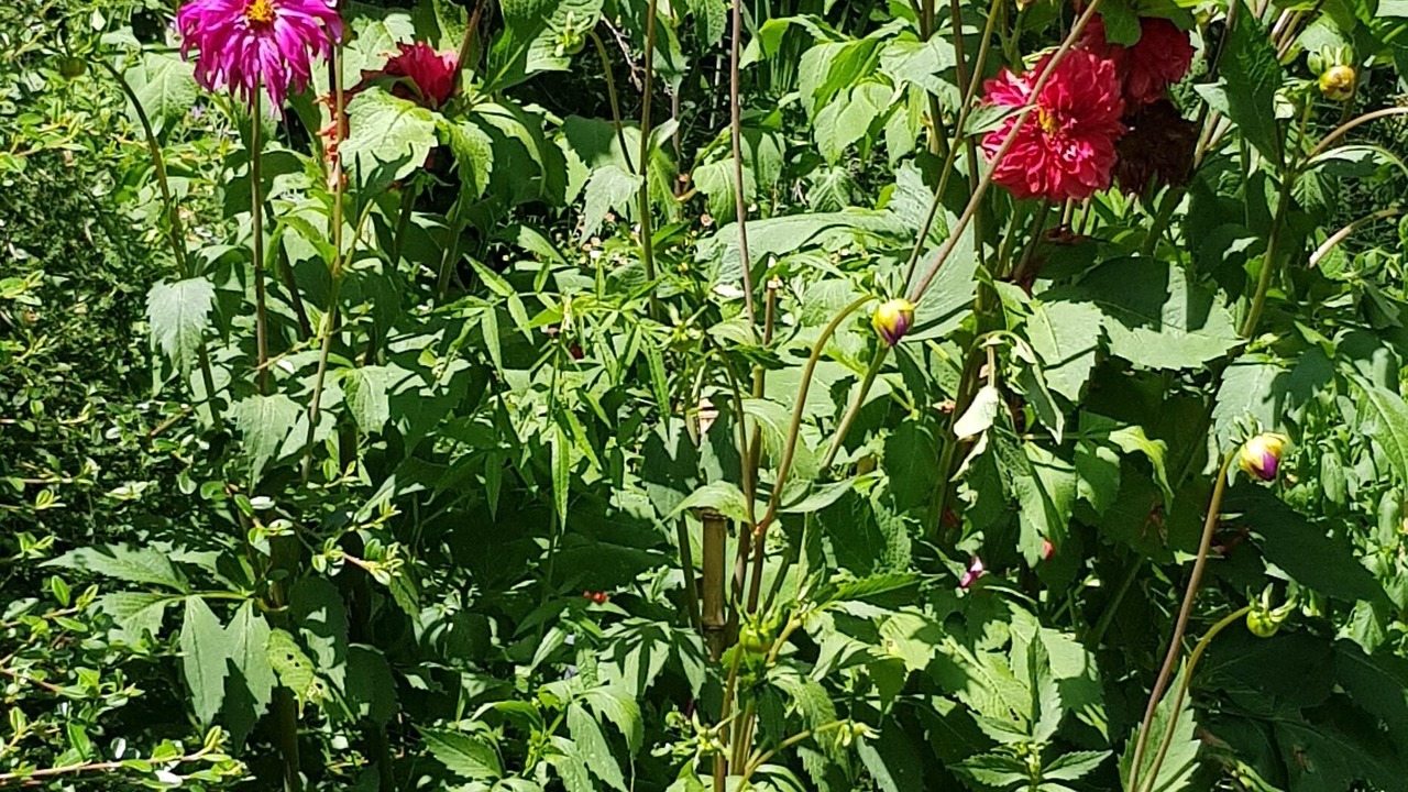 Photo of Outdoor in L'Escarene