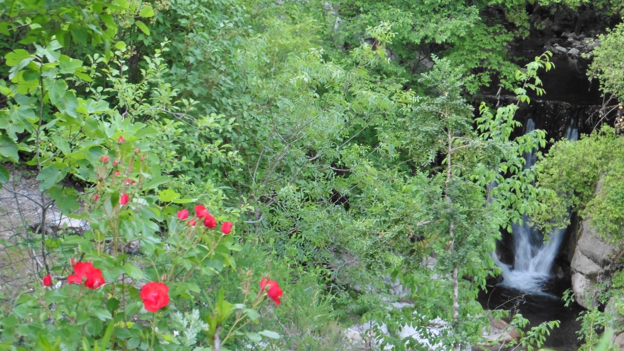 Photo of Outdoor in L'Escarene