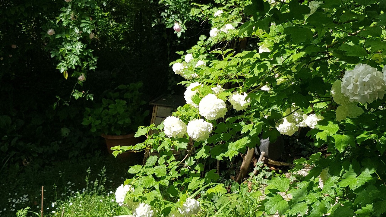 Photo of Outdoor in L'Escarene
