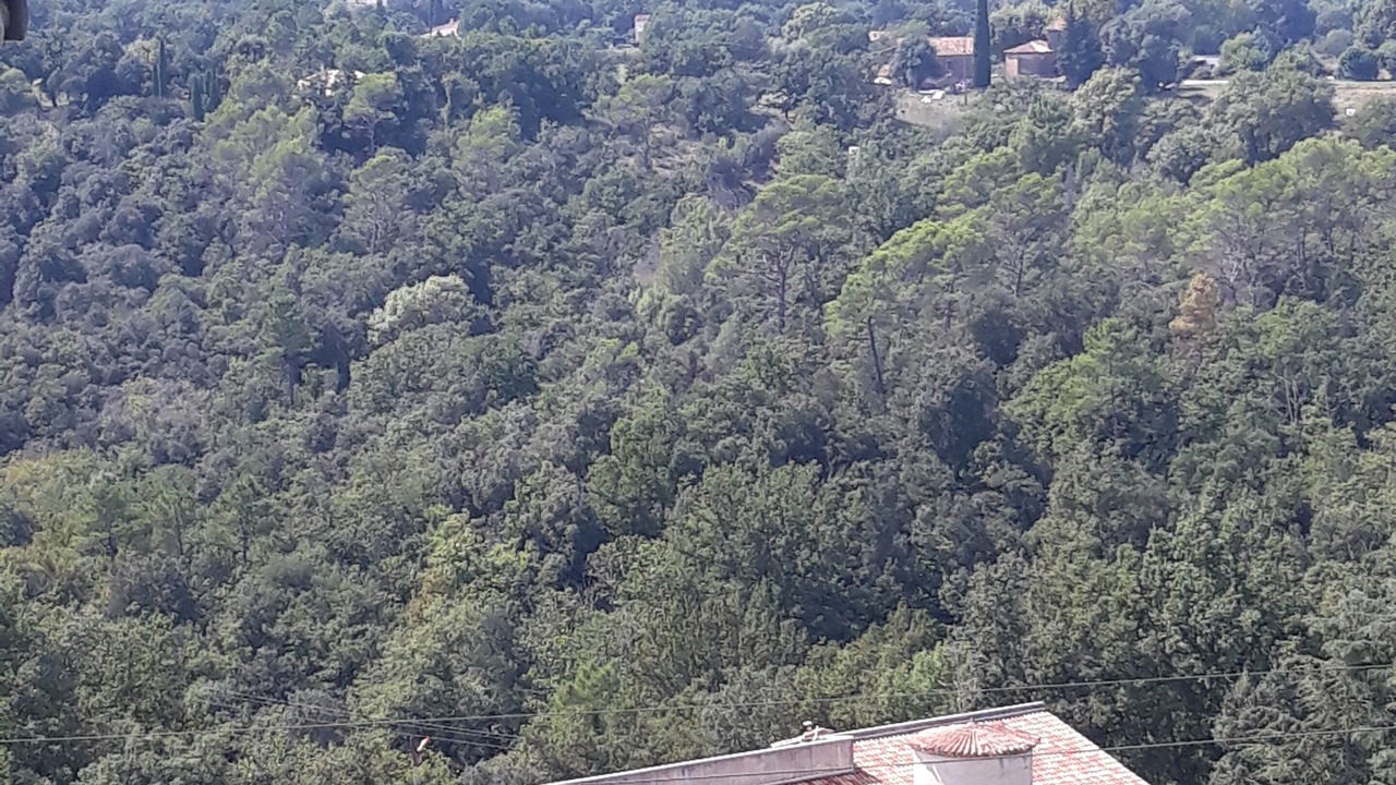 Photo of Outdoor in Bagnols-en-Foret