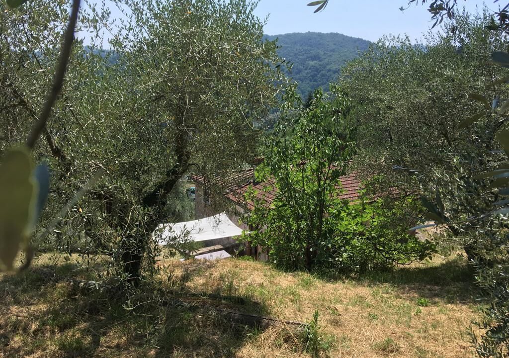 Photo of Outdoor in Villabuona