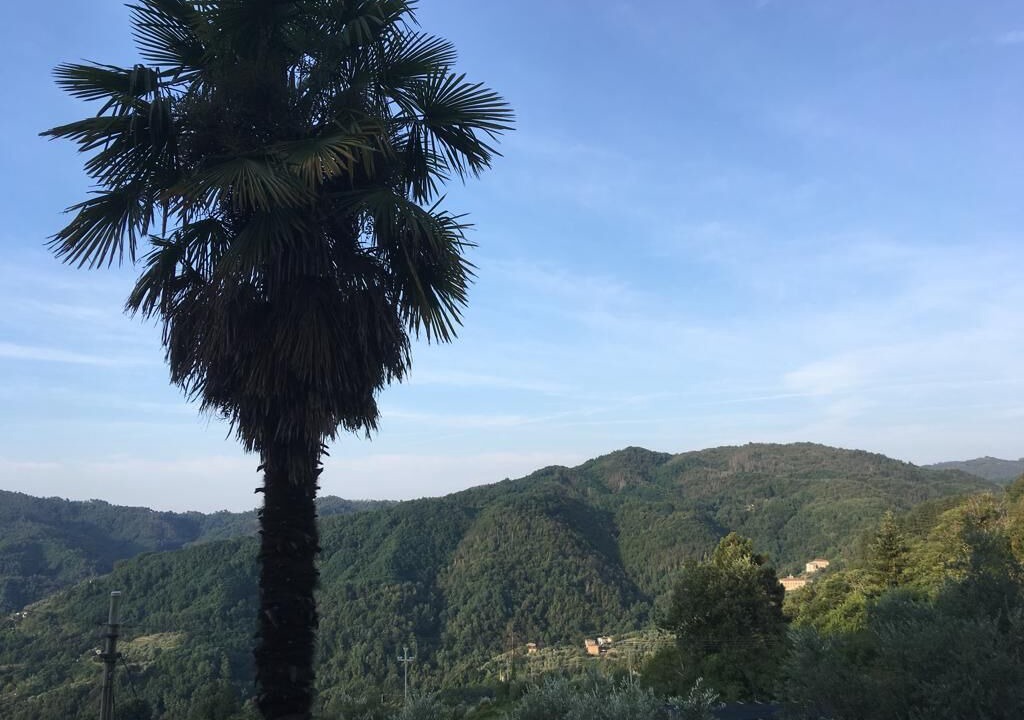 Photo of Outdoor in Villabuona