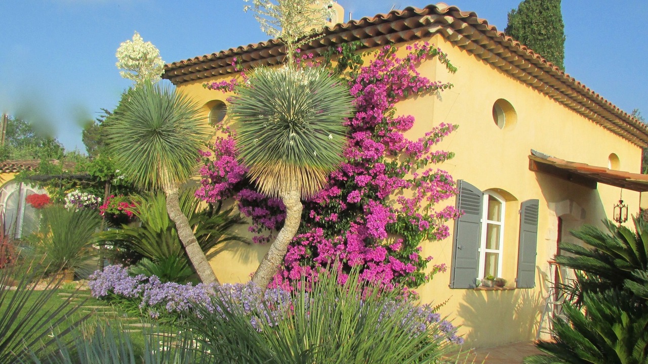 Photo of Outdoor in Valbonne